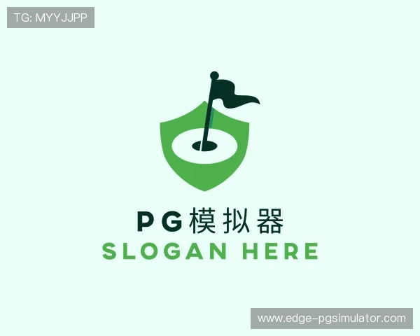 关于pg模拟器